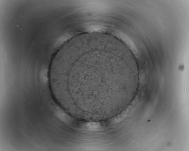 X0000103970353200809191539