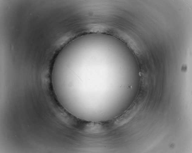 X0000103970354200809191539