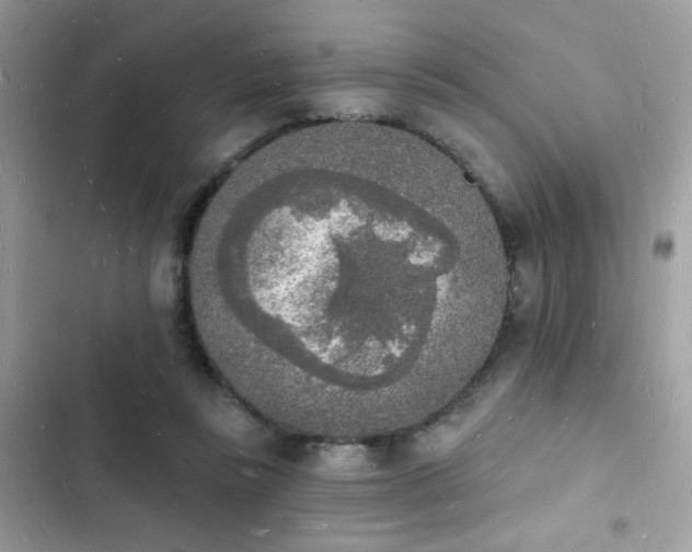 X0000103970355200809191539