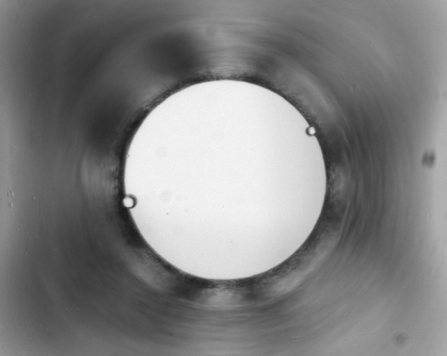 X0000103970356200809191539