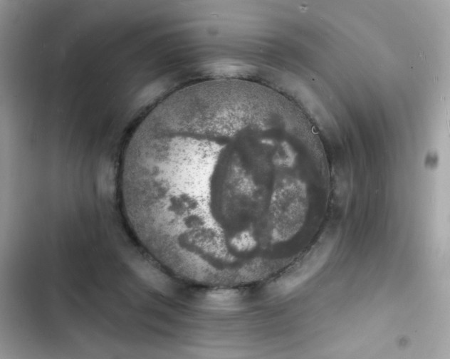 X0000103970357200809191539