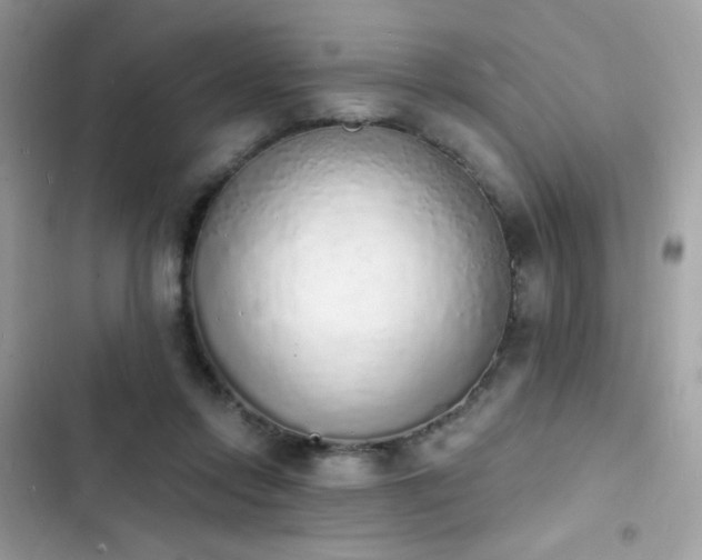 X0000103970358200809191539