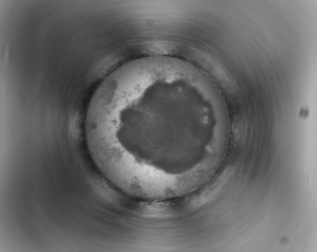 X0000103970359200809191539