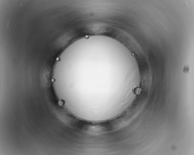 X0000103970360200809191539