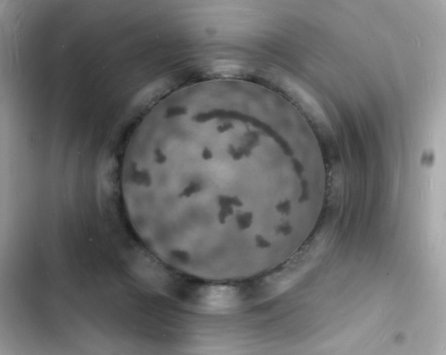 X0000103970361200809191539