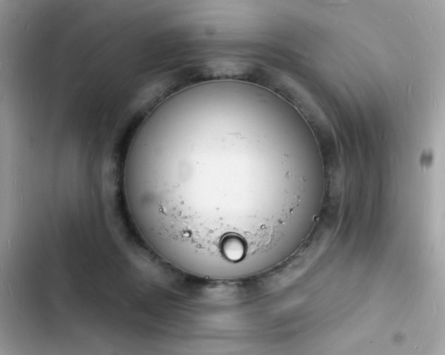 X0000103970362200809191539