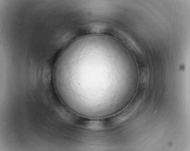 X0000103970363200809191539