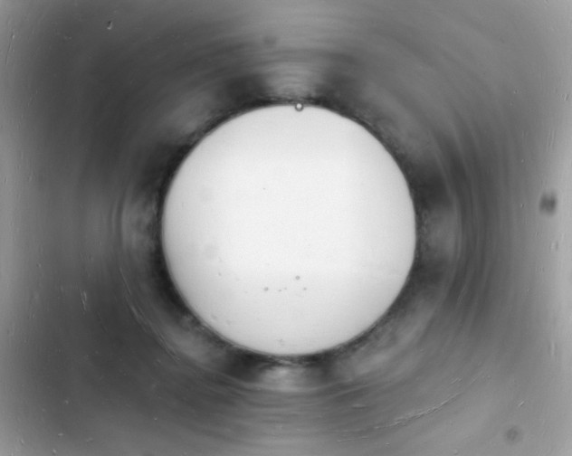 X0000103970364200809191539