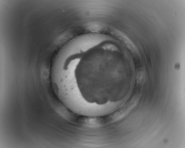 X0000103970365200809191540