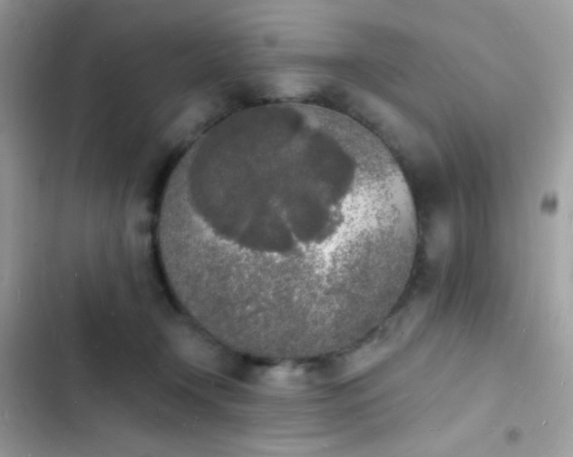 X0000103970366200809191540