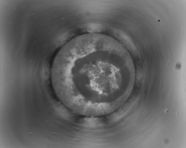 X0000103970367200809191540