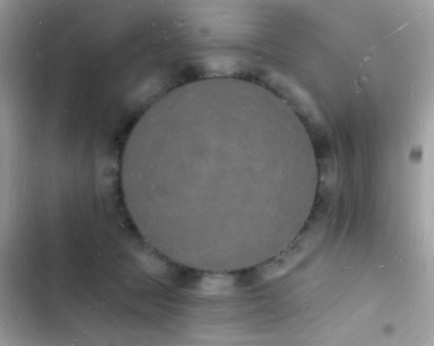 X0000103970369200809191540