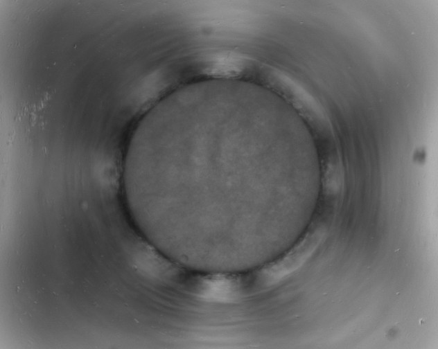 X0000103970370200809191540