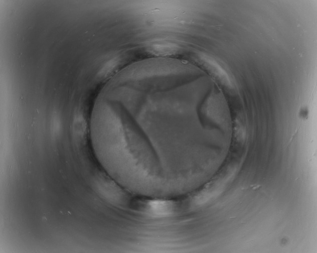 X0000103970371200809191540