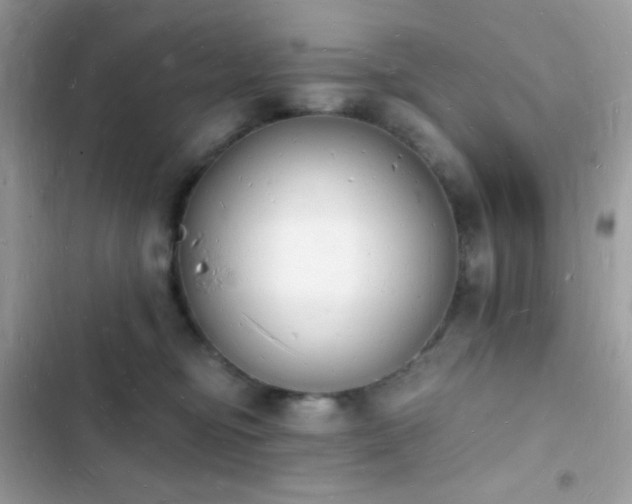 X0000103970374200809191540