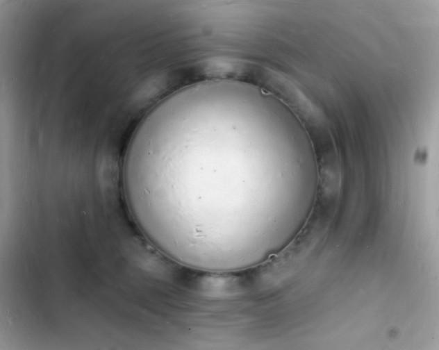 X0000103970375200809191540