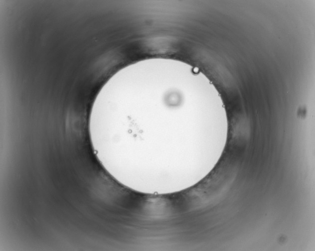 X0000103970376200809191540