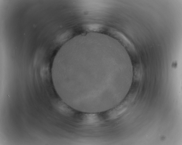 X0000103970377200809191540