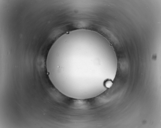 X0000103970380200809191540