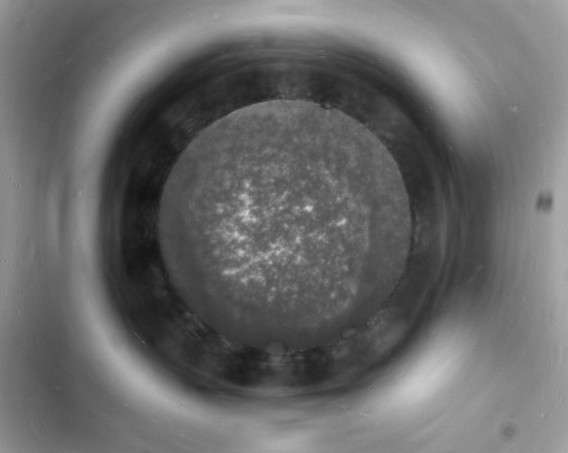 X0000103970383200809191540