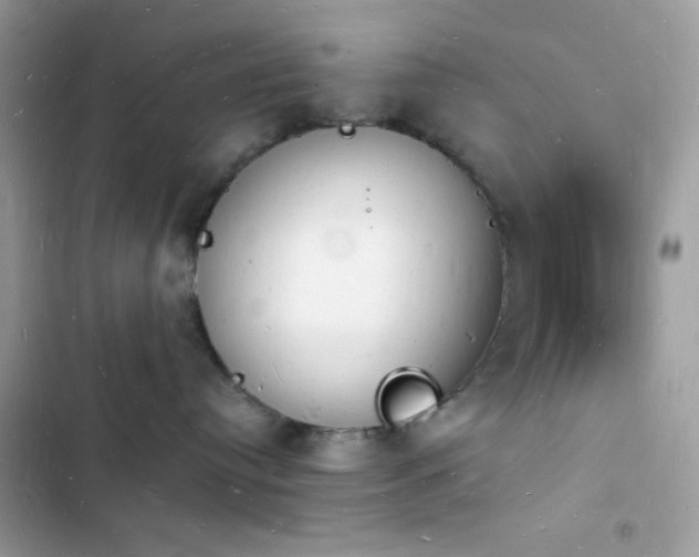 X0000103970384200809191540