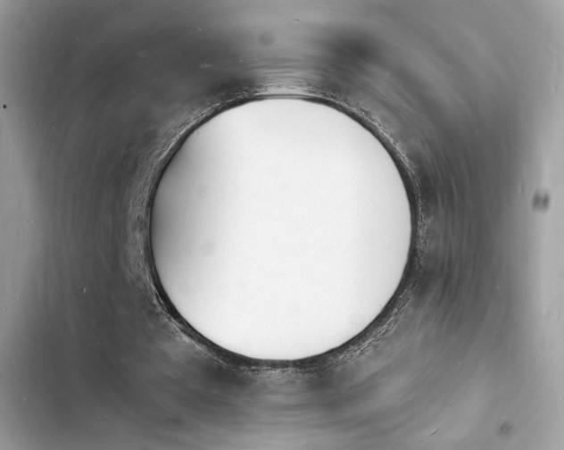 X0000103970385200809191539