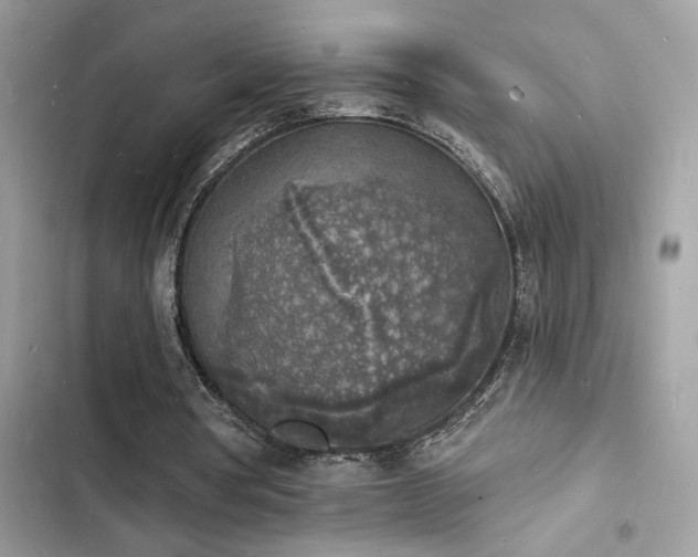 X0000103970386200809191539