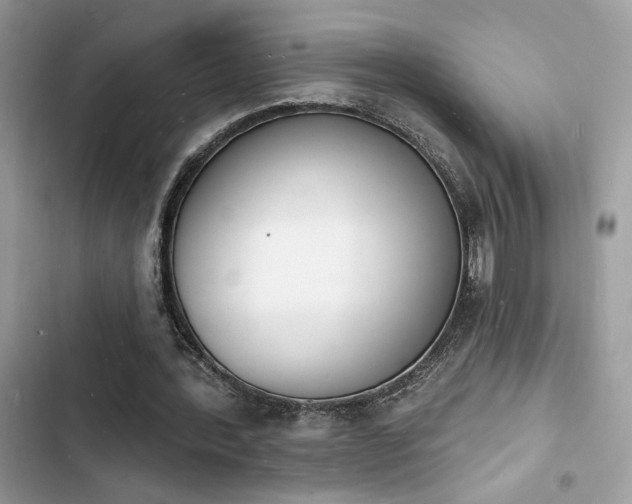 X0000103970388200809191539