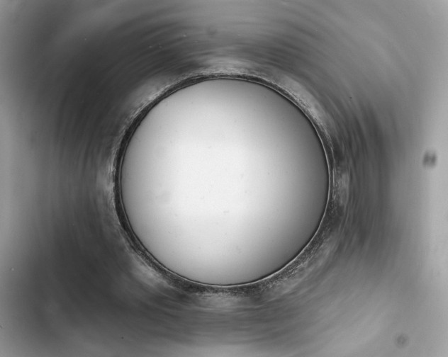 X0000103970389200809191539