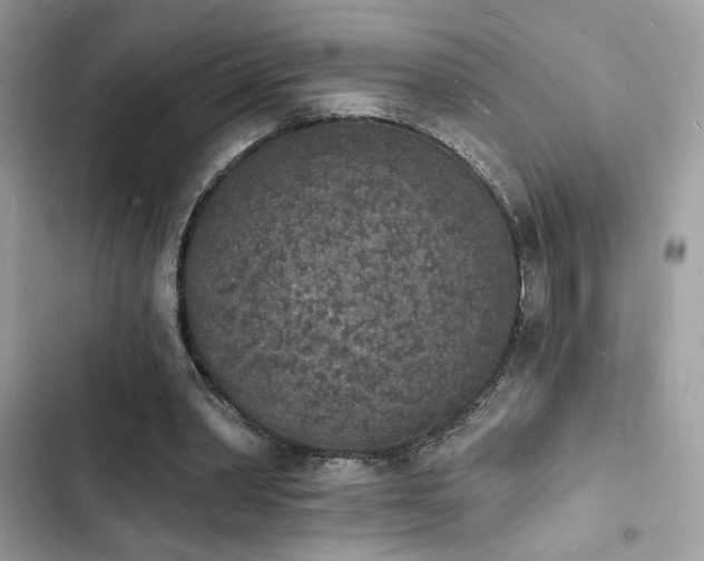 X0000103970390200809191539