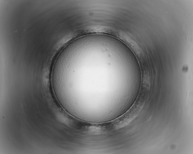 X0000103970394200809191539