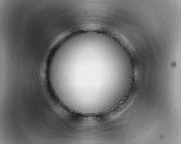 X0000103970396200809191539