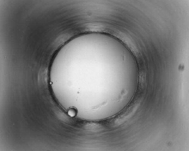 X0000103970397200809191539