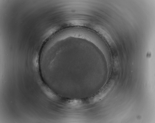 X0000103970398200809191539