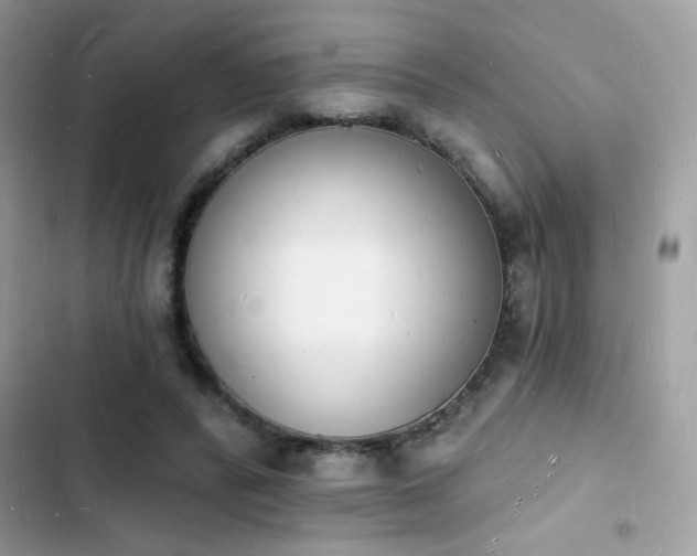 X0000103970400200809191539