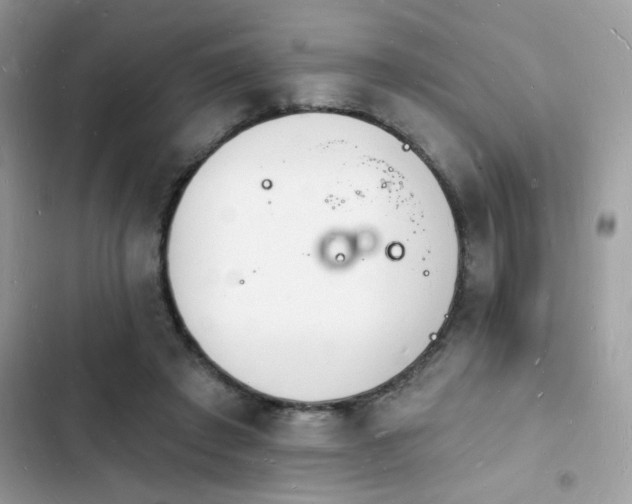 X0000103970401200809191539