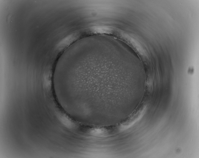 X0000103970402200809191539