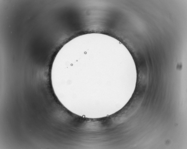 X0000103970403200809191539