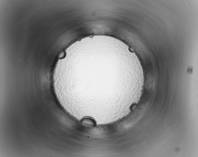 X0000103970405200809191539