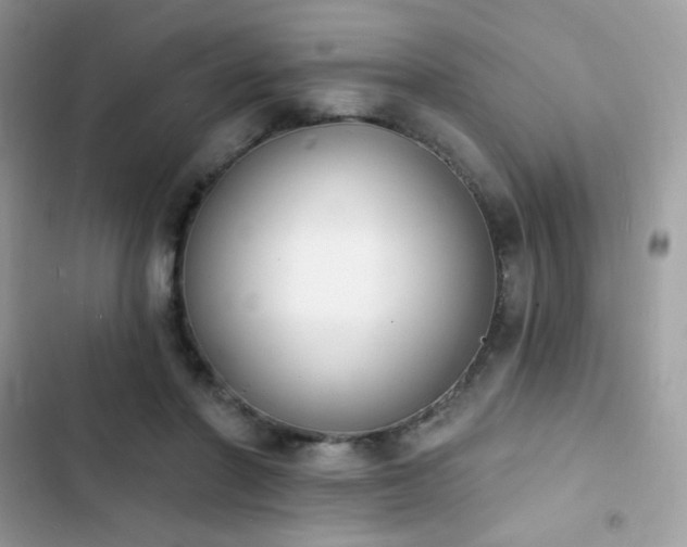 X0000103970406200809191539