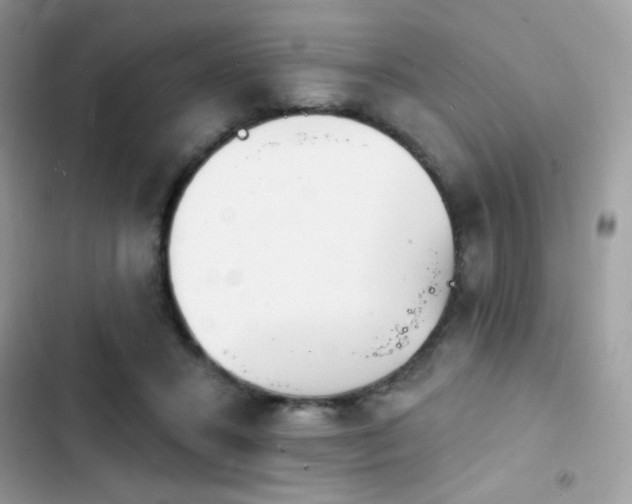 X0000103970407200809191539