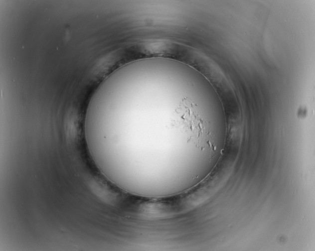 X0000103970408200809191539