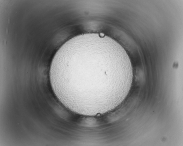 X0000103970409200809191539