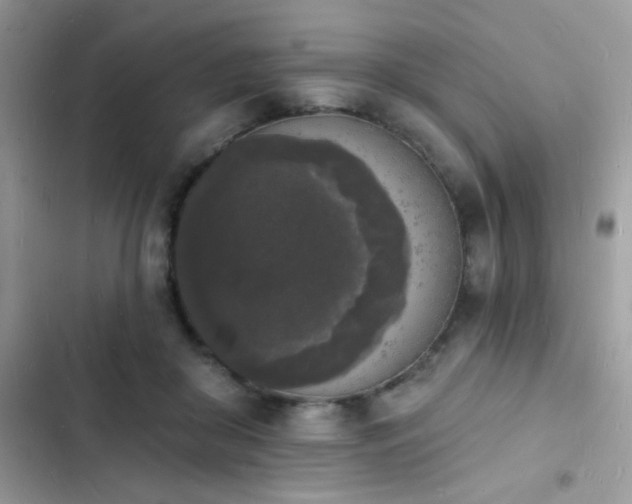 X0000103970410200809191539