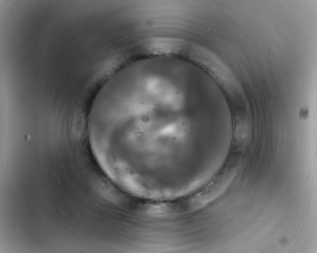 X0000103970411200809191539