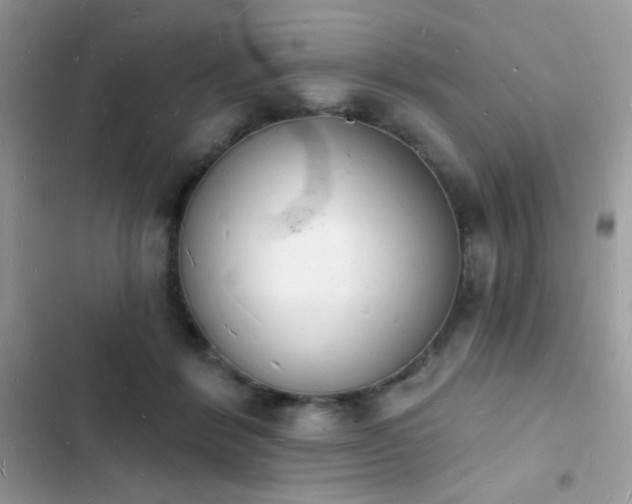 X0000103970412200809191539