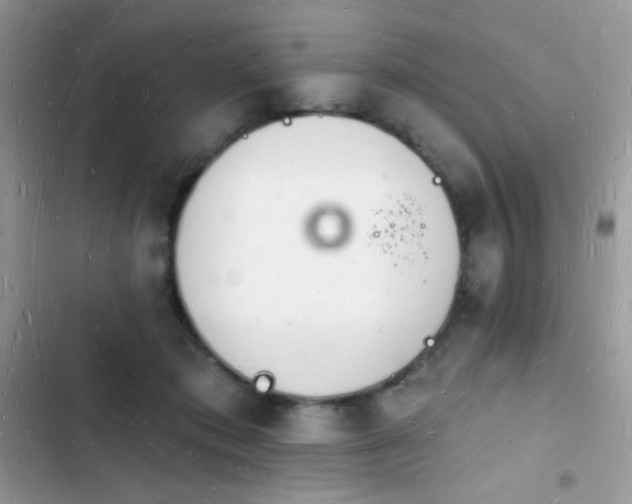 X0000103970413200809191539