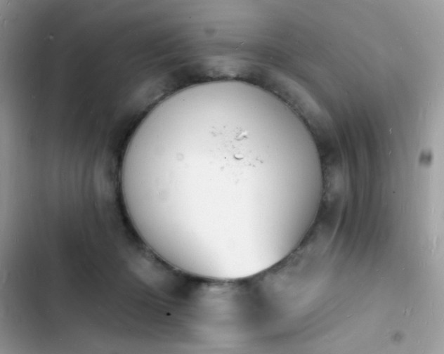 X0000103970414200809191539