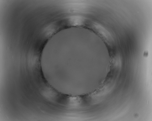 X0000103970415200809191539