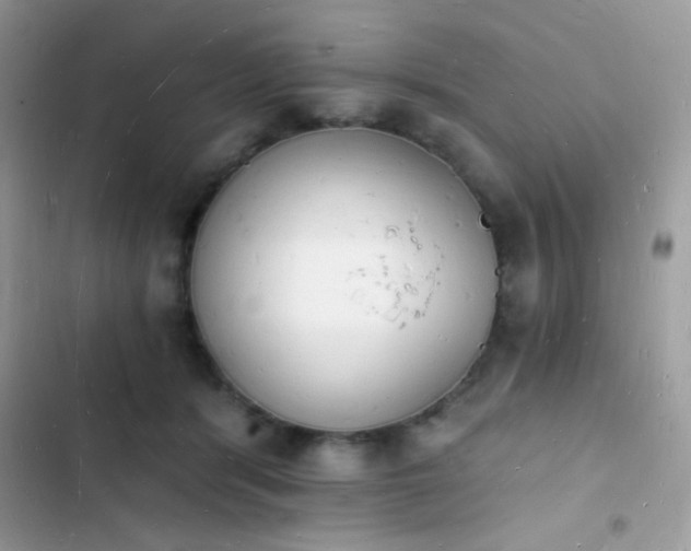 X0000103970416200809191539